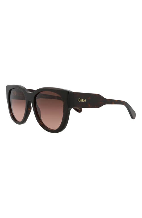 Chloé 55mm Cat Eye Sunglasses In Brown