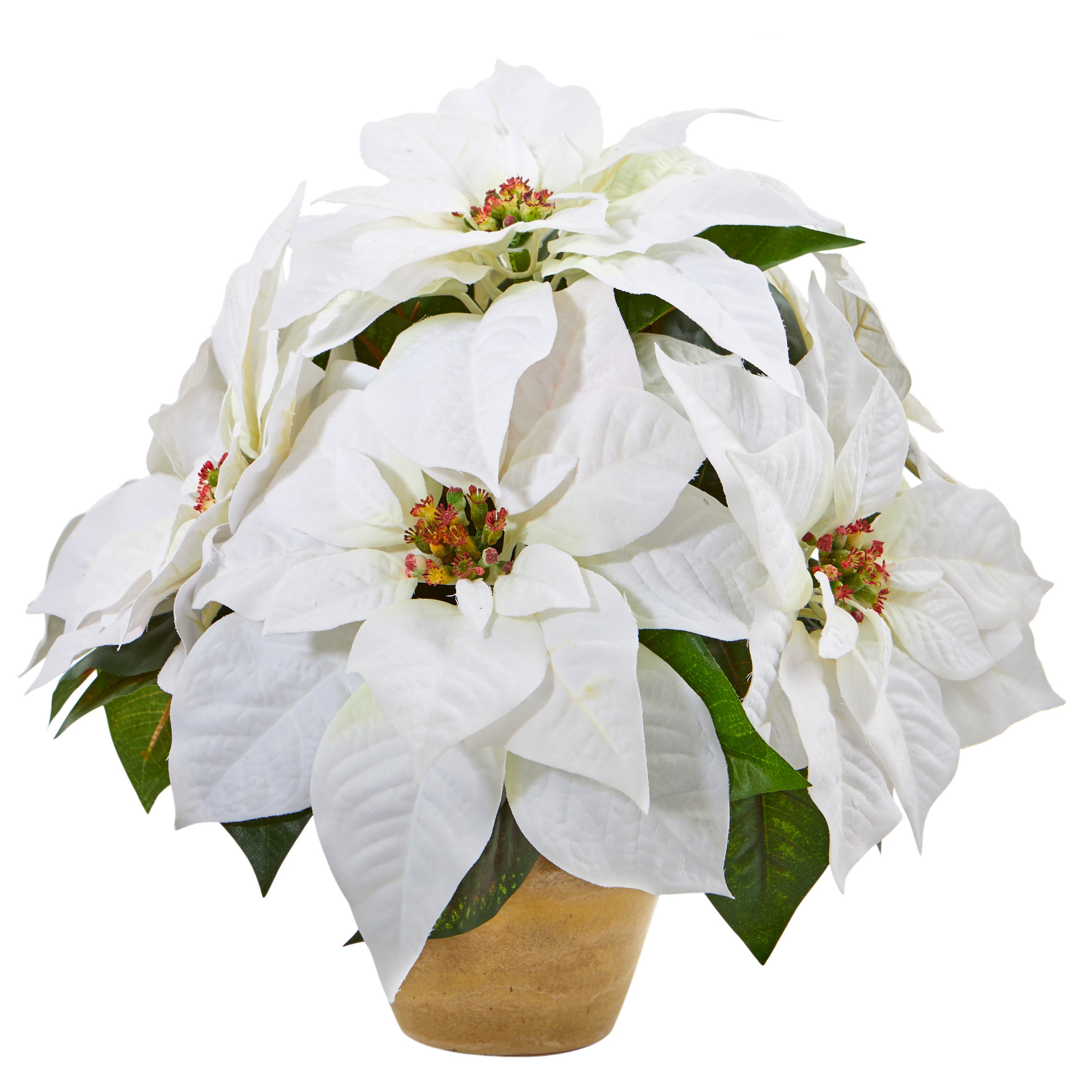 selected White