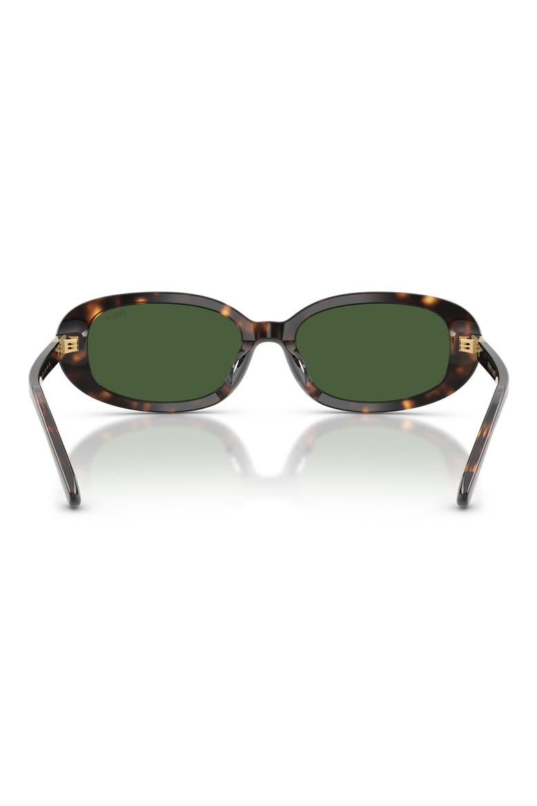 53mm Oval Sunglasses, Alternate, color, SHINY DARK HAVANA / GREEN