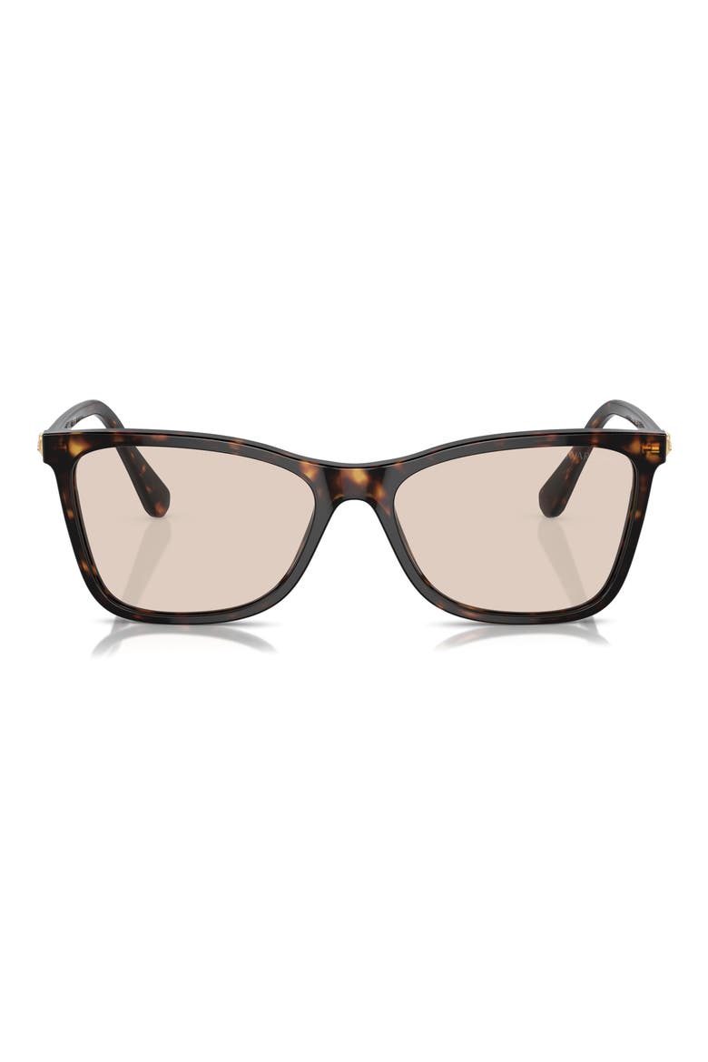 55mm Polarized Rectangle Sunglasses, Main, color, DK HAVANA