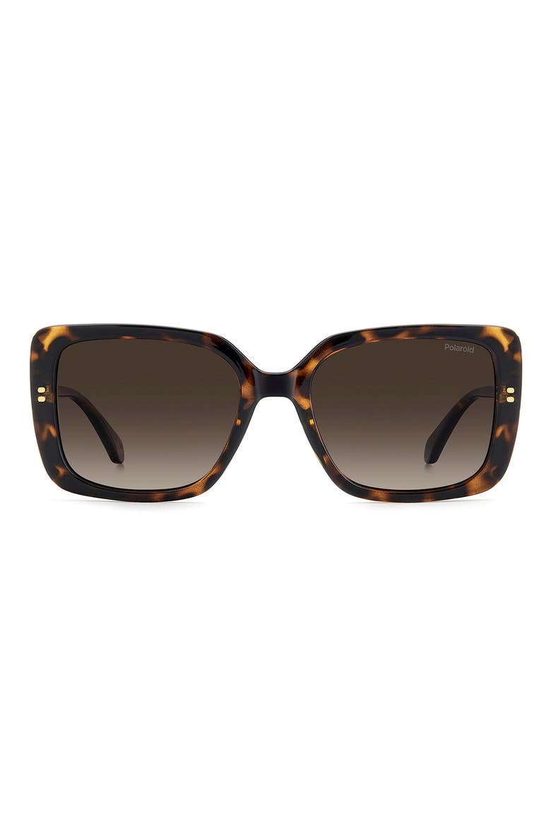 55mm Polarized Rectangular Sunglasses, Main, color, HAVANA/ BROWN