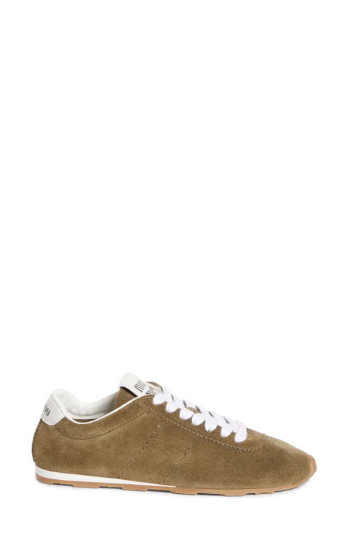 Miu Miu Allacciate Low Top Sneaker In Brown