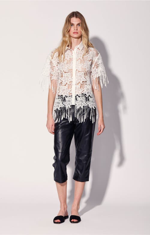 Shop Walter Baker Ollie Top In Magnolia Lace