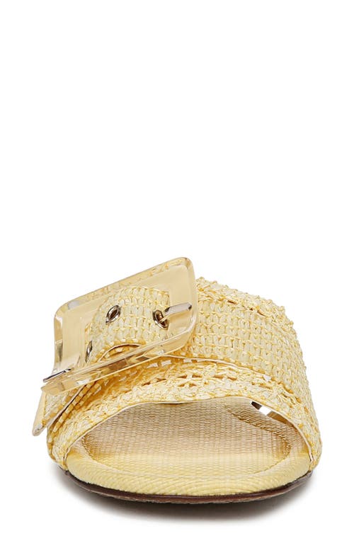 Shop Sam Edelman Bambi Raffia Buckle Slide Sandal In Buttercup
