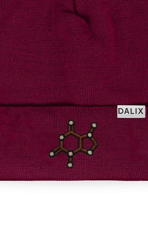 Dalix Molecule Beanie In Maroon