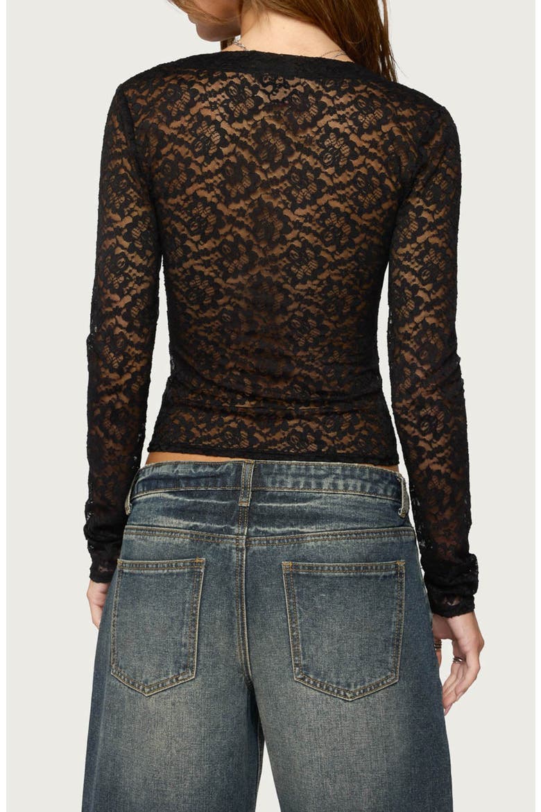 Zanda Sheer Lace Long Sleeve Top, Alternate, color, BLACK