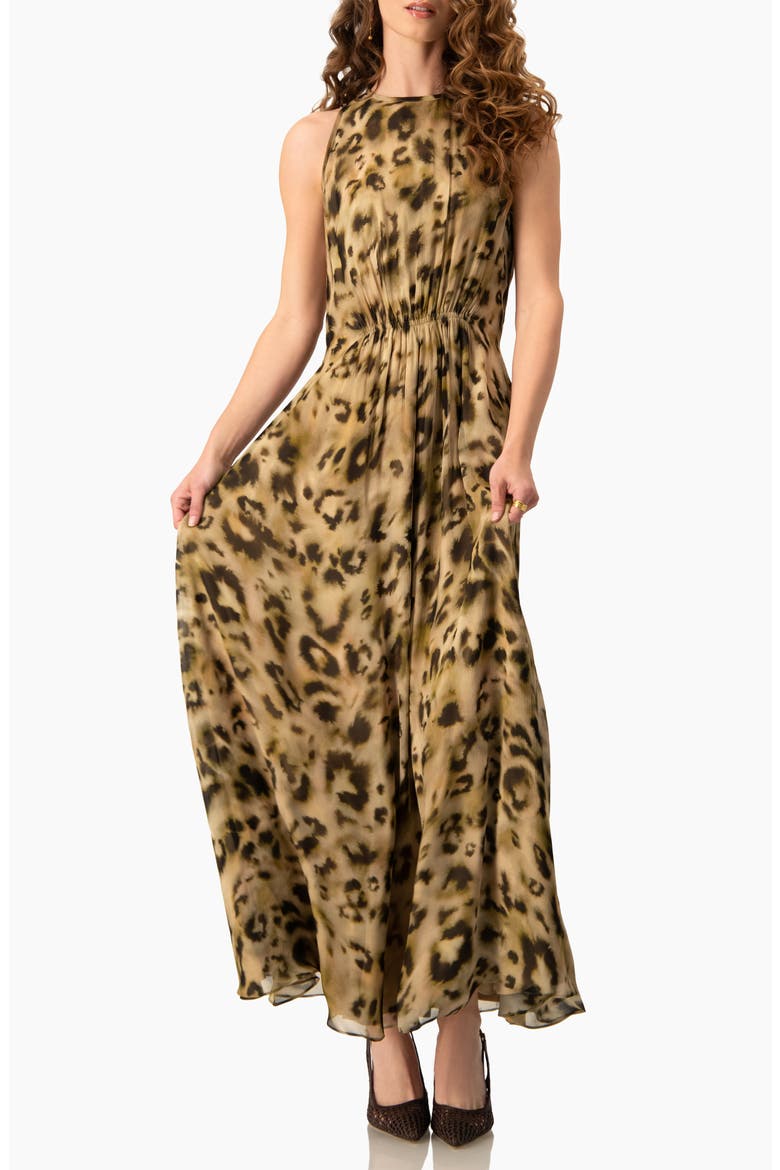 Abstract Animal Print Chiffon, Sleeveless Cinched-Waist A-Line Maxi Dress, Main, color, Olive Green
