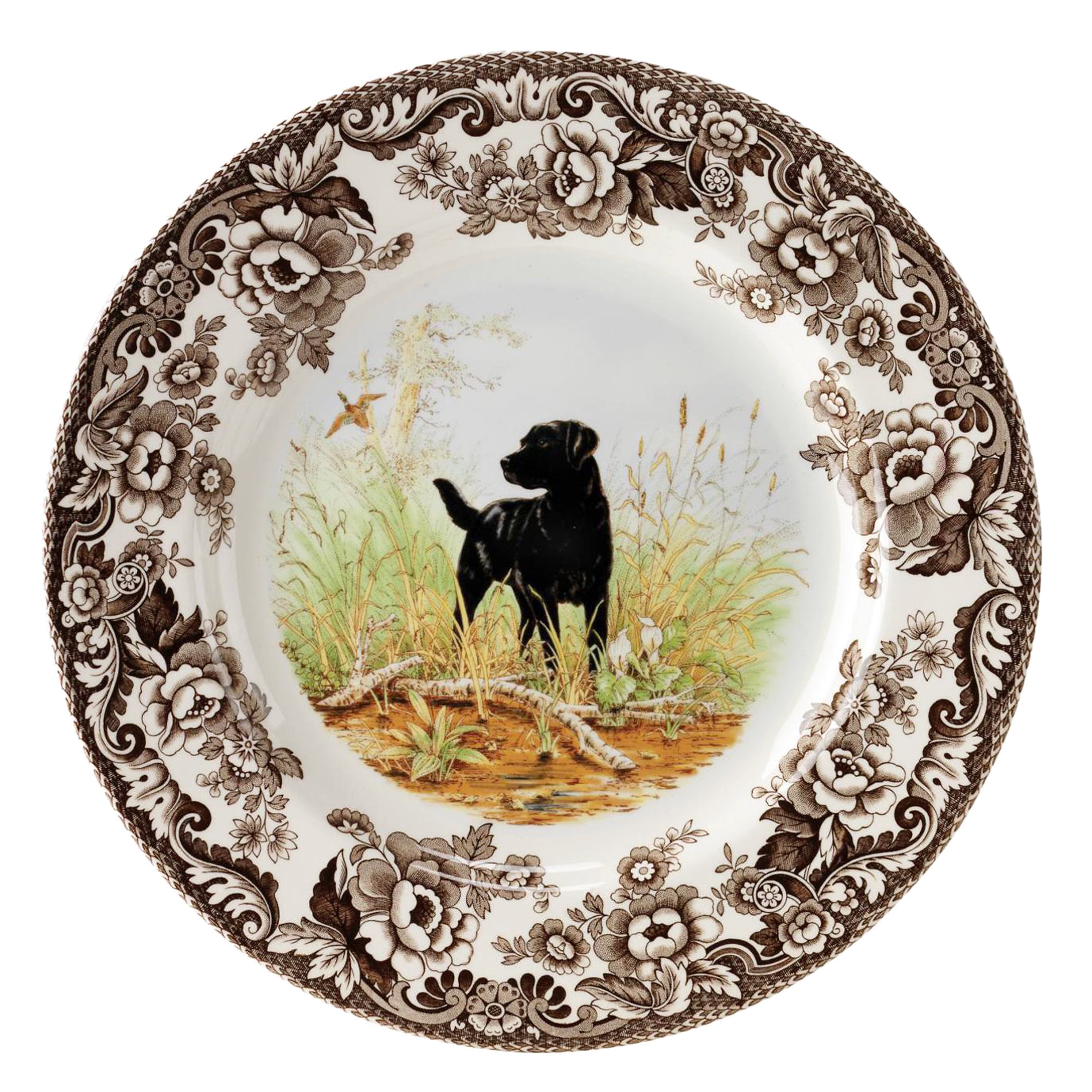 selected Black Labrador