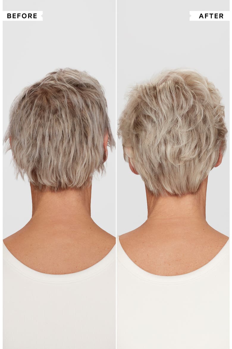 Pure Blonde Silver Brightening Daily Shampoo, Alternate, color, NO COLOR