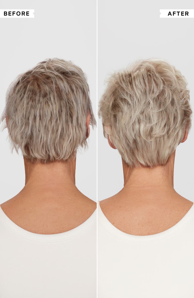 Philip Kingsley Pure Blonde Silver Brightening Daily Shampoo, Alternate, color, 