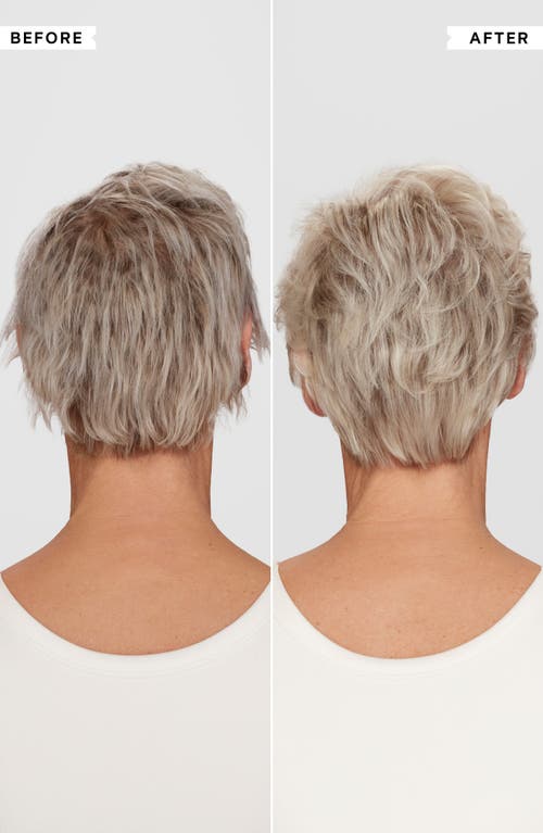 Philip Kingsley Pure Blonde Silver Brightening Daily Shampoo