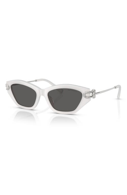 Tiffany & Co . 53mm Cat Eye Sunglasses In Multi