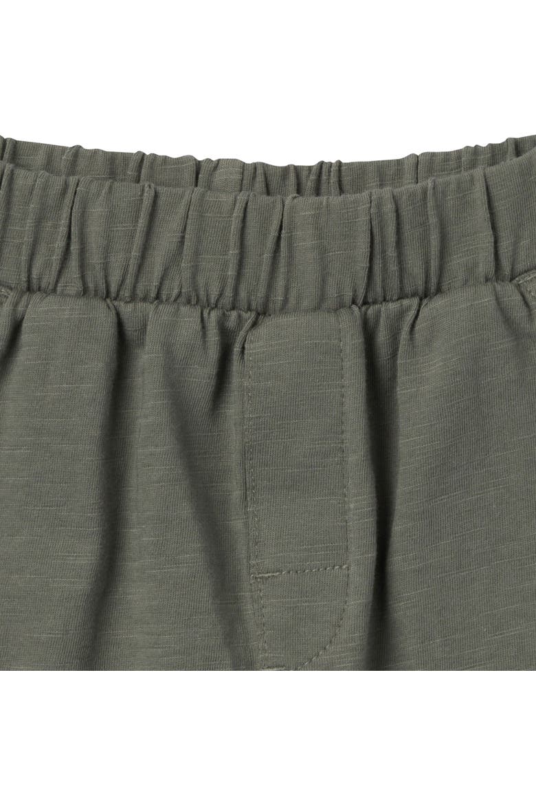 Johnny Collar and Shorts Set, Alternate, color, Green Stripe