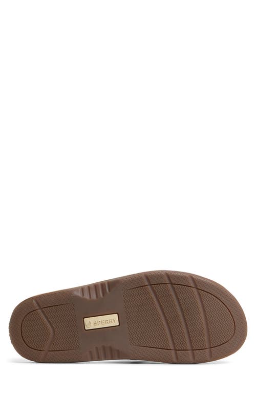 Sperry Baitfish Flip Flop In Tan Suede
