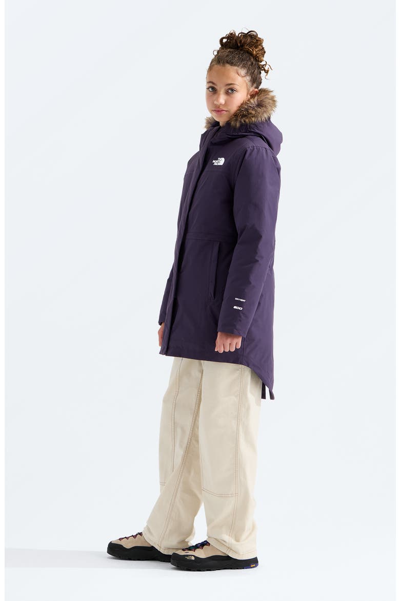 Kids' Arctic Waterproof 600-Fill Power Down Parka, Alternate, color, ENDLESS DUSK