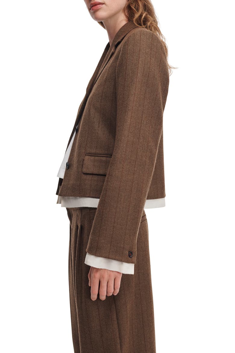 Lawrence Pinstripe Wool Blend Cropped Blazer, Alternate, color, TAMST