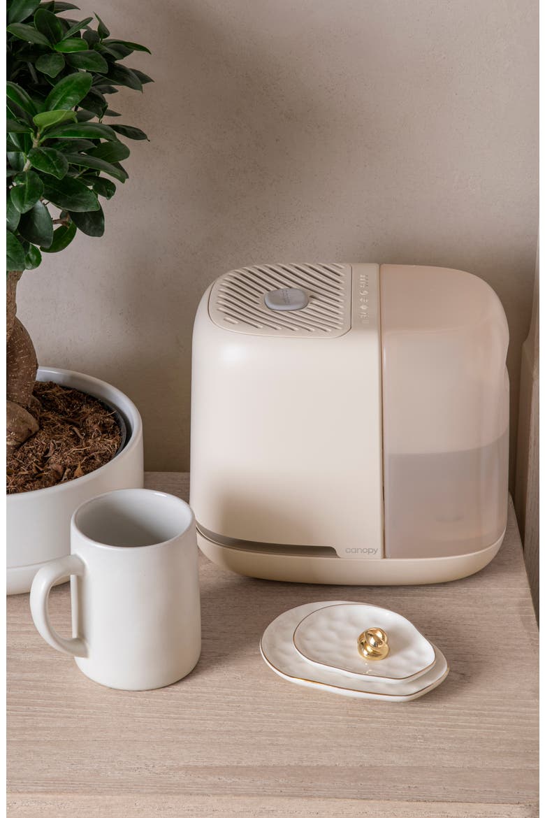 Bedside 2.0 Humidifier, Alternate, color, CREAM