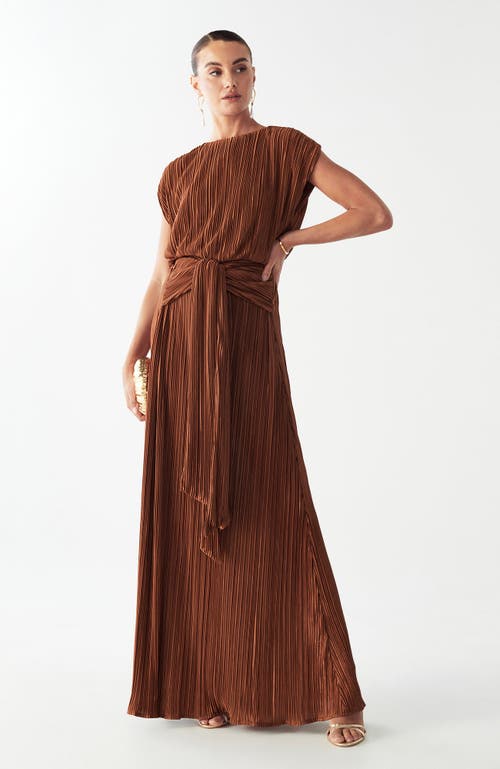 Savel Zarina Maxi Dress In Brown