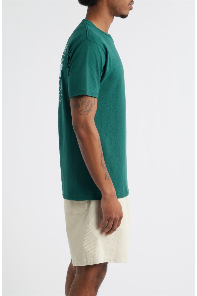 Beauty Through Diversity Cotton Graphic T-Shirt, Alternate, color, RAINFOREST