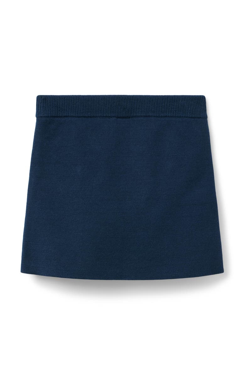 Janie and Jack Crochet Trim Sweater Skirt, Alternate, color, Blue