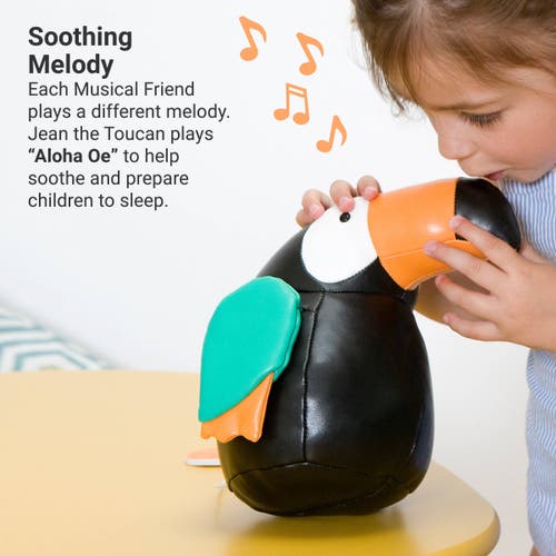 Little Big Friends Musical Animals In Multi