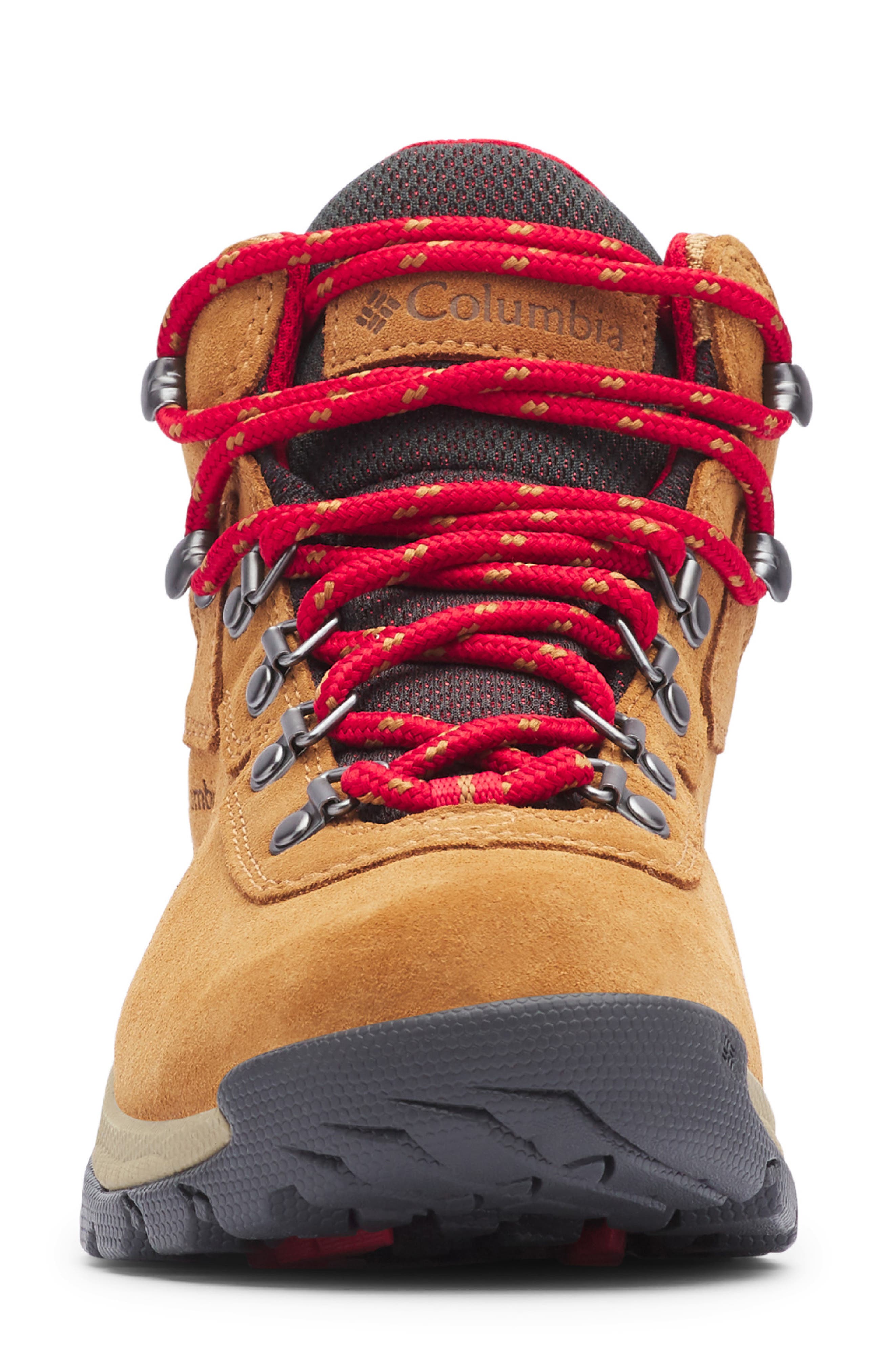 Newton Ridge™ Amped Waterproof Hiking Boot, Alternate, color, ELK/ MOUNTAIN RED