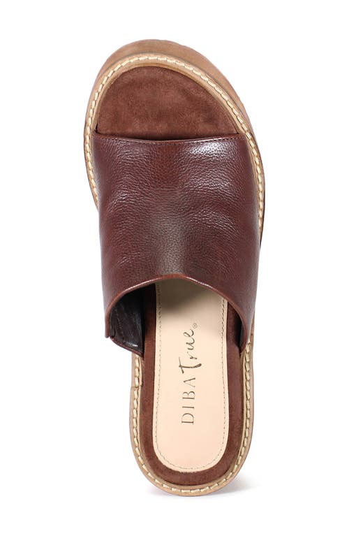 Diba True Cloud Fall Wedge Sandal In Brown