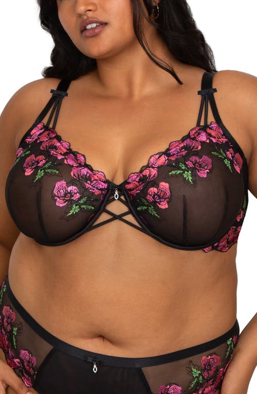 Curvy Couture Floral Embroidered Balconette Bra in Lush Black at Nordstrom, Size 36Dd