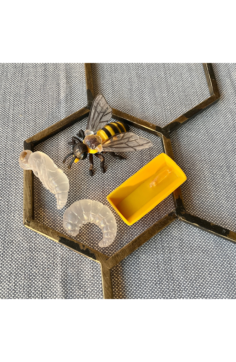 Safari Ltd. Life Cycle Of A Honey Bee, Alternate, color, NO COLOR