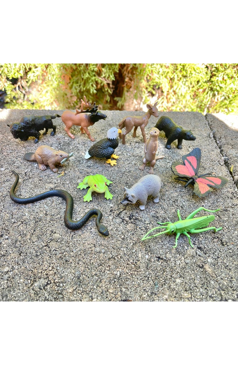 Safari Ltd. In The Woods Toy, Alternate, color, NO COLOR