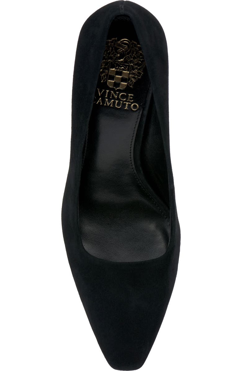 Vince Camuto Sibrina Pump, Alternate, color,