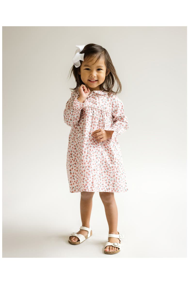 Colette Peter Pan Collar Dress, Alternate, color, Pink Multi