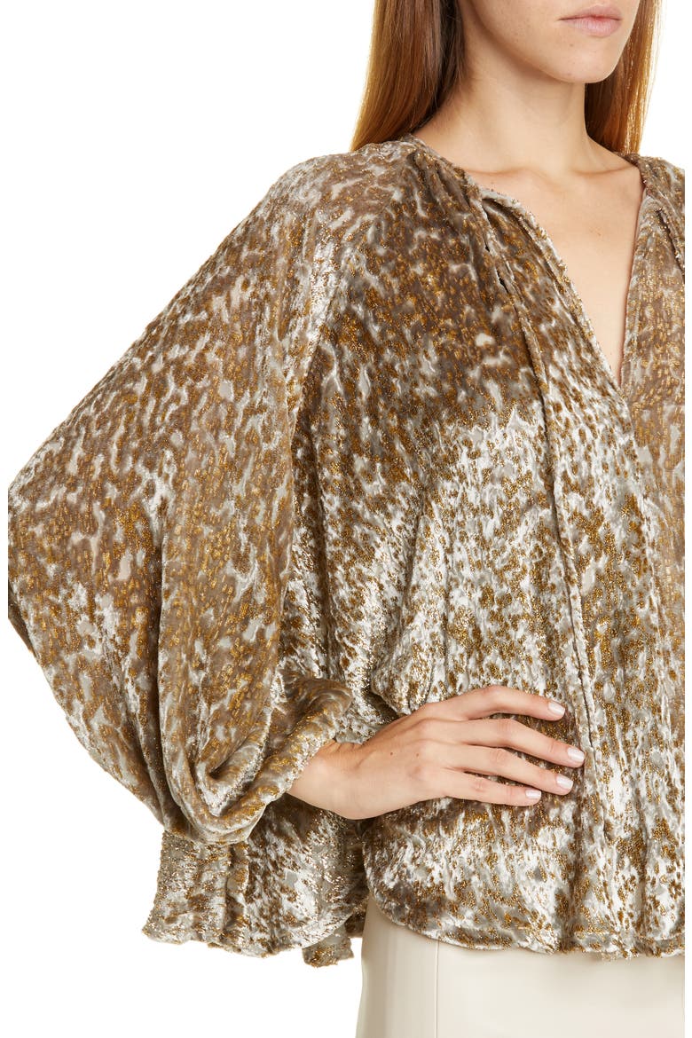 Embroidered Velvet Balloon Sleeve Top, Alternate, color, GOLD