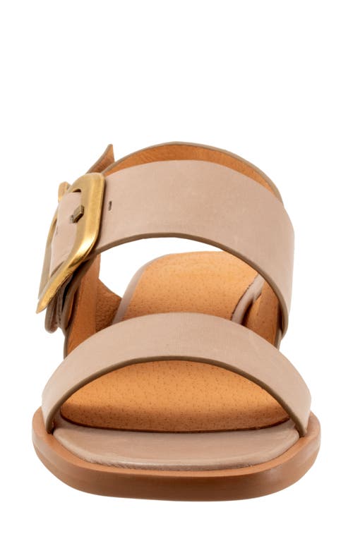 Eos Footwear Tegan Block Heel Sandal In Taupe