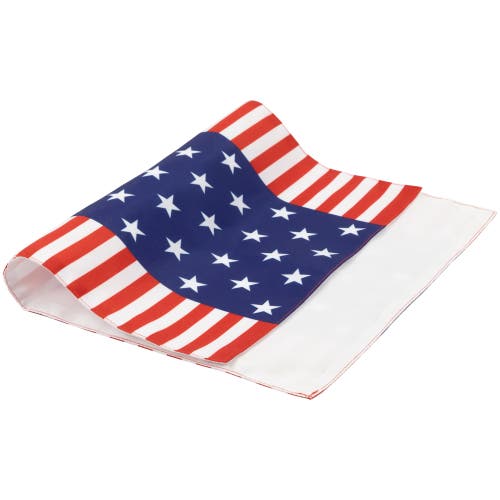 Northlight Set Of 4 Stars And Stripes Americana Printed Placemats 18" In Blue