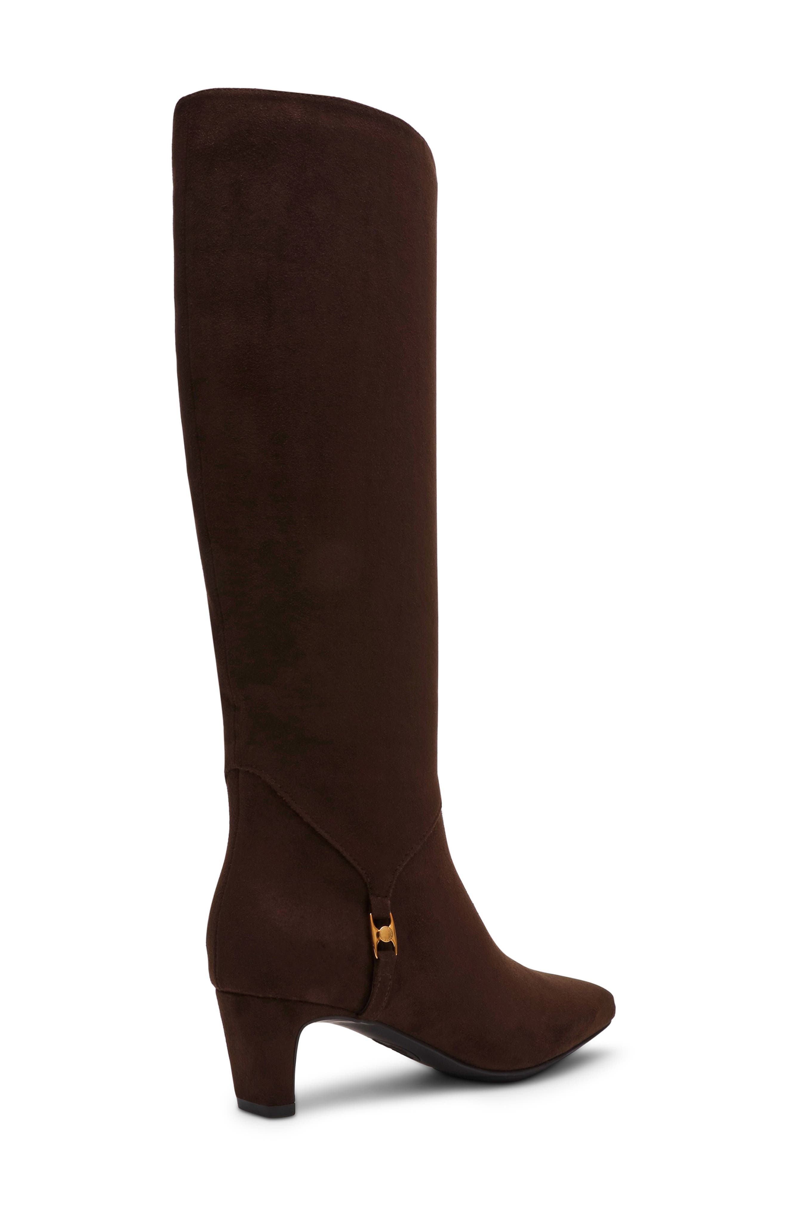 Anne Klein Iverson Knee High Boot, Alternate, color, Dark Brown