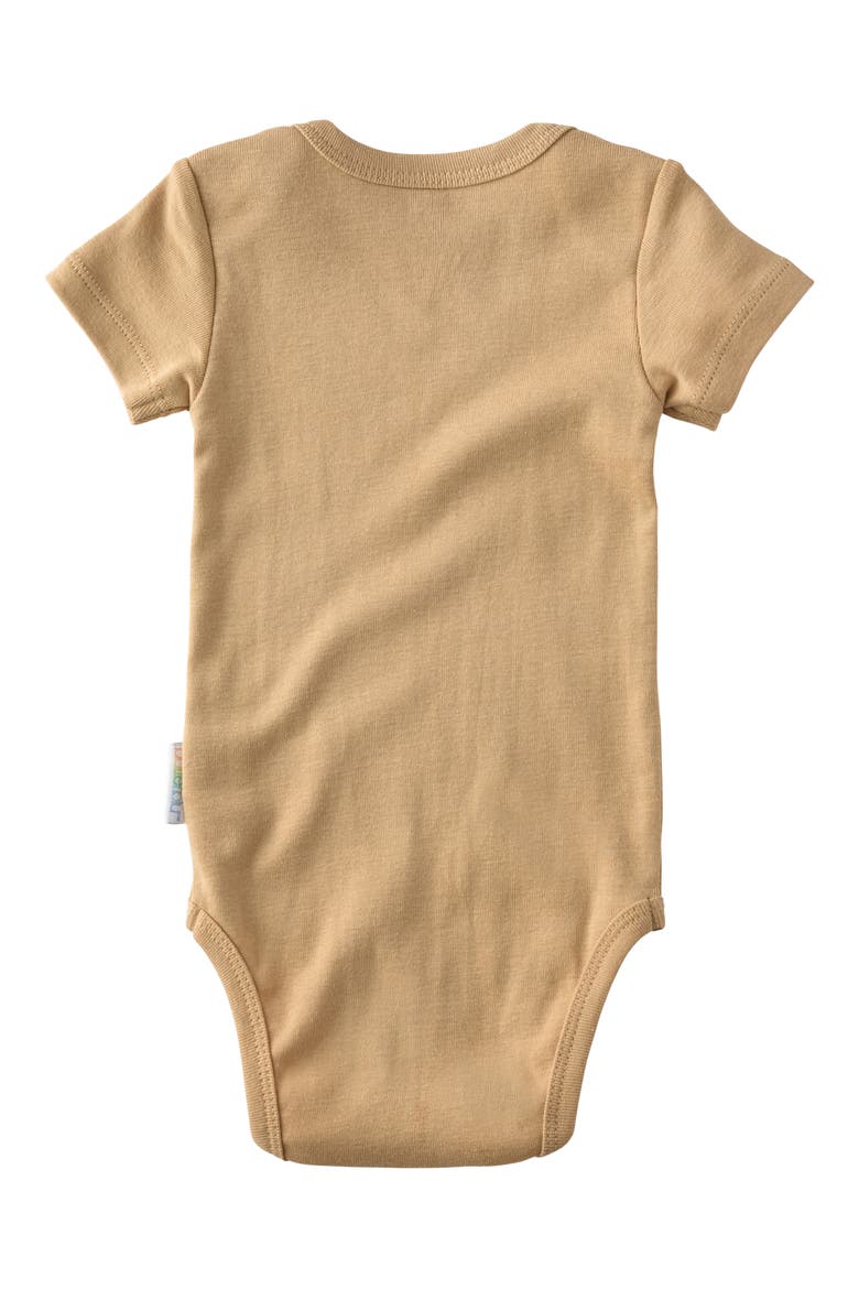 Avery Assorted 5-Pack Bodysuits, Alternate, color, TERRA
