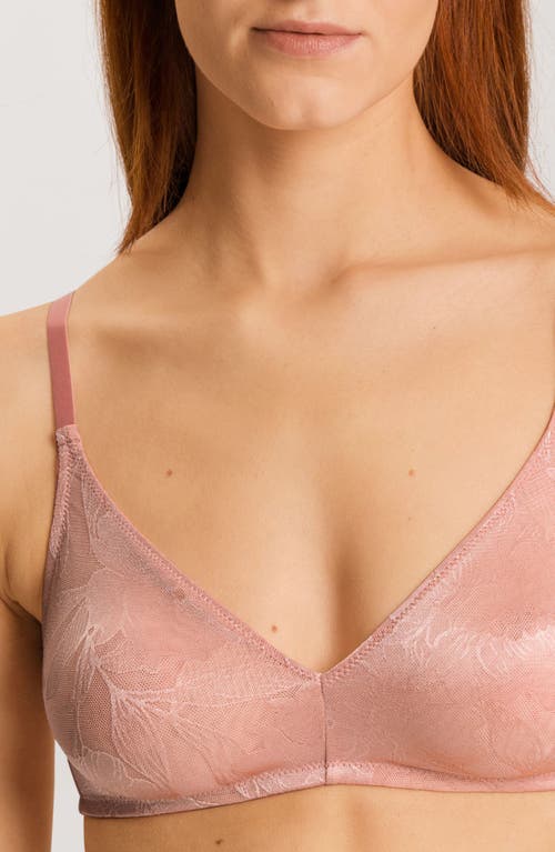 Shop Hanro Tina Lace Soft Cup Bra In Mocha Powder