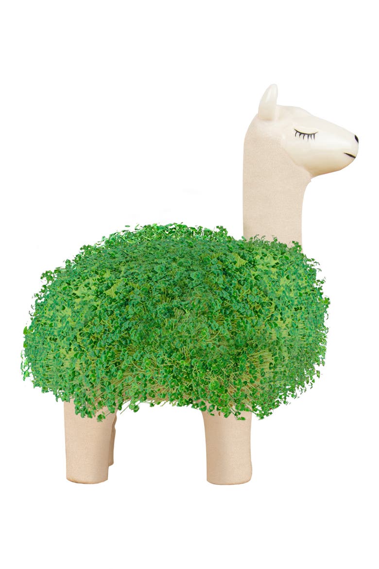 Llama Chia Planter, Alternate, color, GREEN