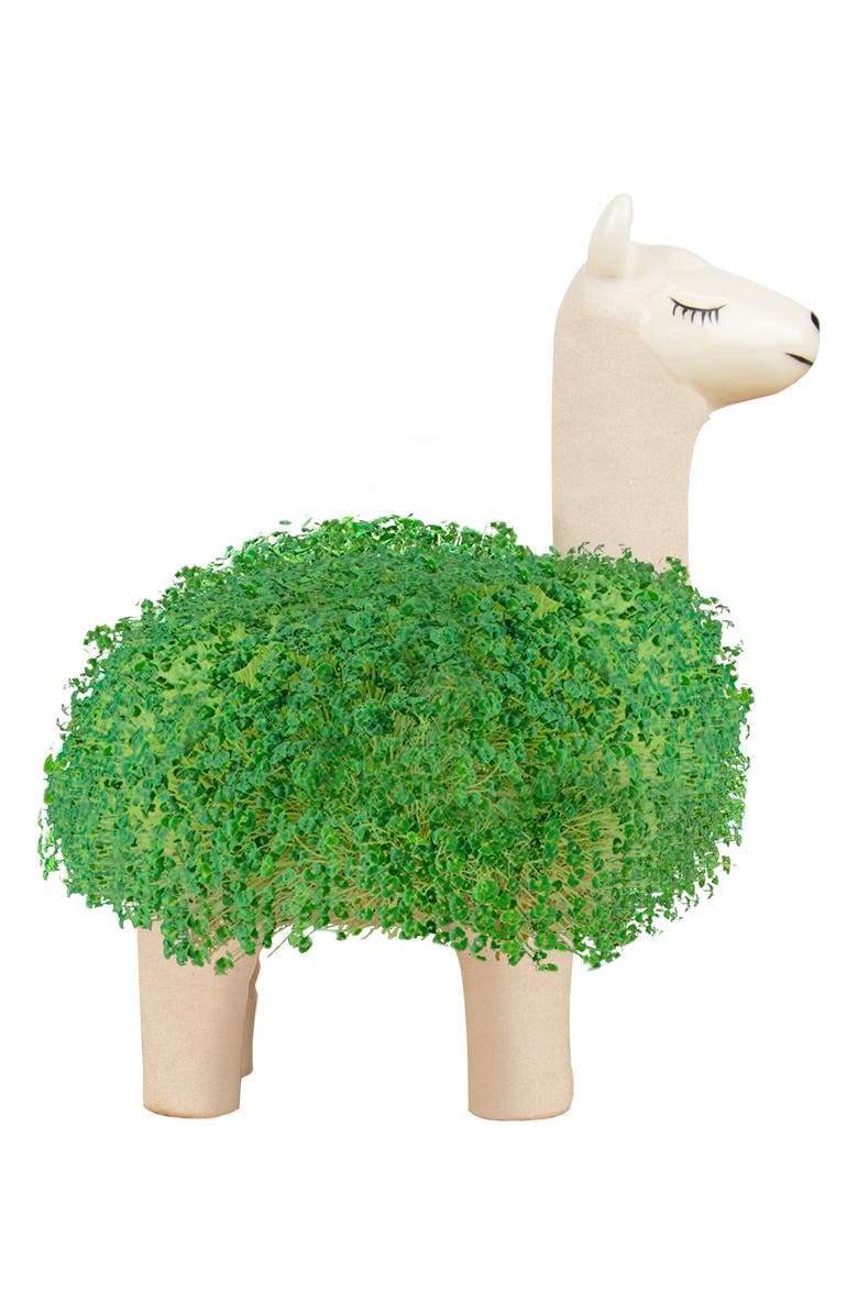 GIFT REPUBLIC Llama Chia Planter, Alternate, color, Green