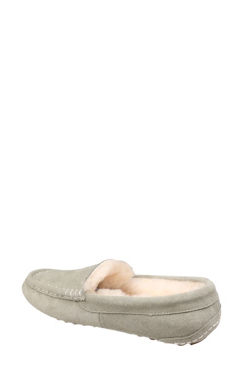 Mykos Suede Genuine Shearling Lined Slipper In Green