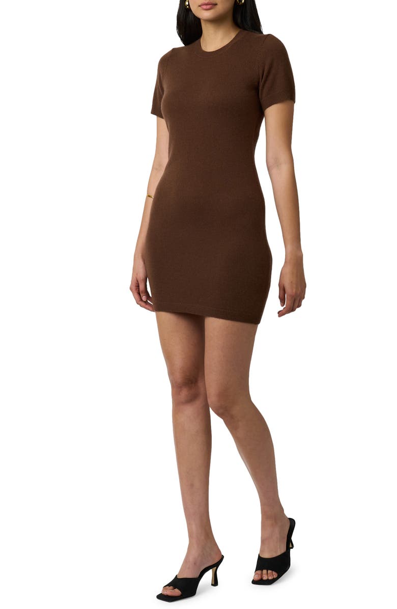 Equipment Cataleya Cashmere Sweater Minidress, Alternate, color, Pinecone