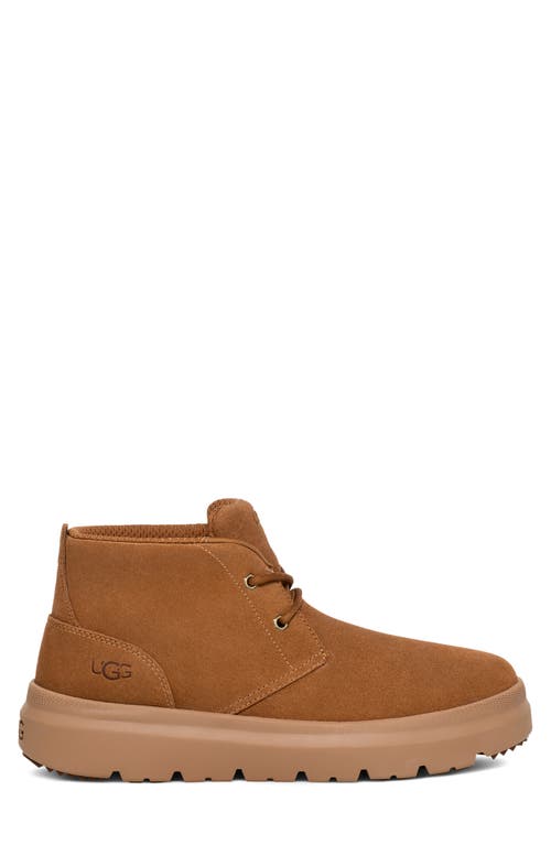Shop Ugg ® Burleigh Chukka