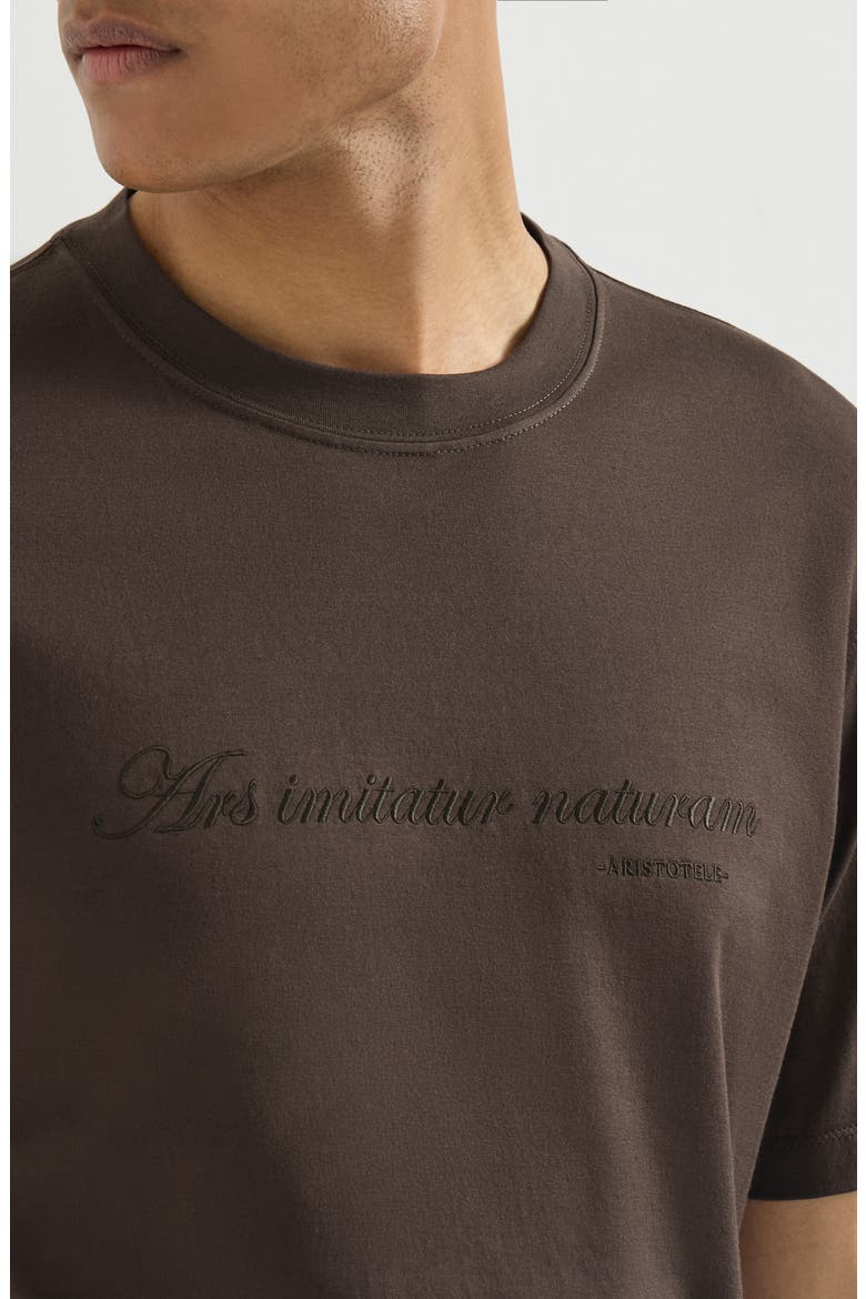 Cotton jersey crew-neck T-shirt with embroidery and print, Alternate, color, Brown