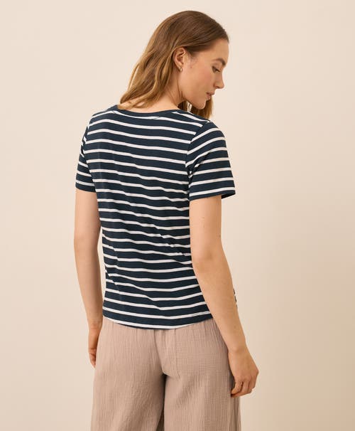 Pact Organic Cotton Softspun Scoop Neck Tee In Black