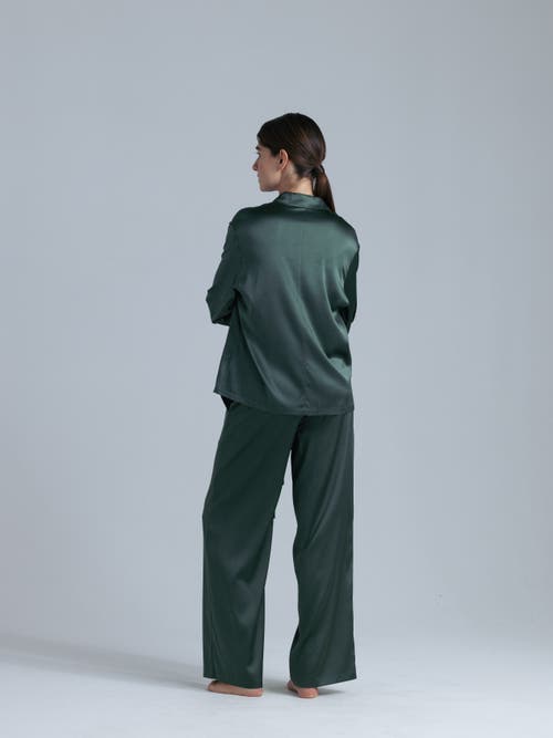 Alas Silk Long Sleeve Shirt In Green