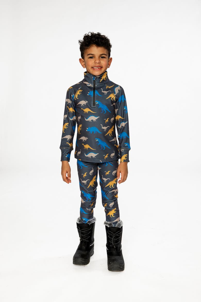 Two Piece Dinosaur Brushed Half-Zip Top & Pants Thermal Underwear, Alternate, color, Grey and Blue Dinosaur Print