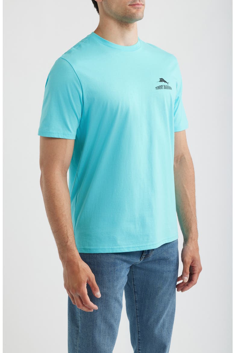 The Coast is Clear Cotton Graphic T-Shirt, Alternate, color, BLUE RADIANCE