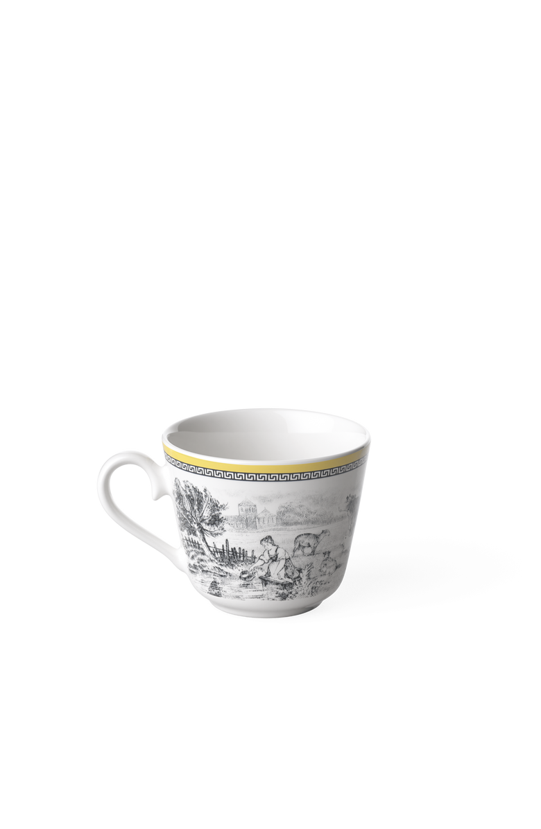 Villeroy
Boch Audun Ferme Teacup, Alternate, color, White