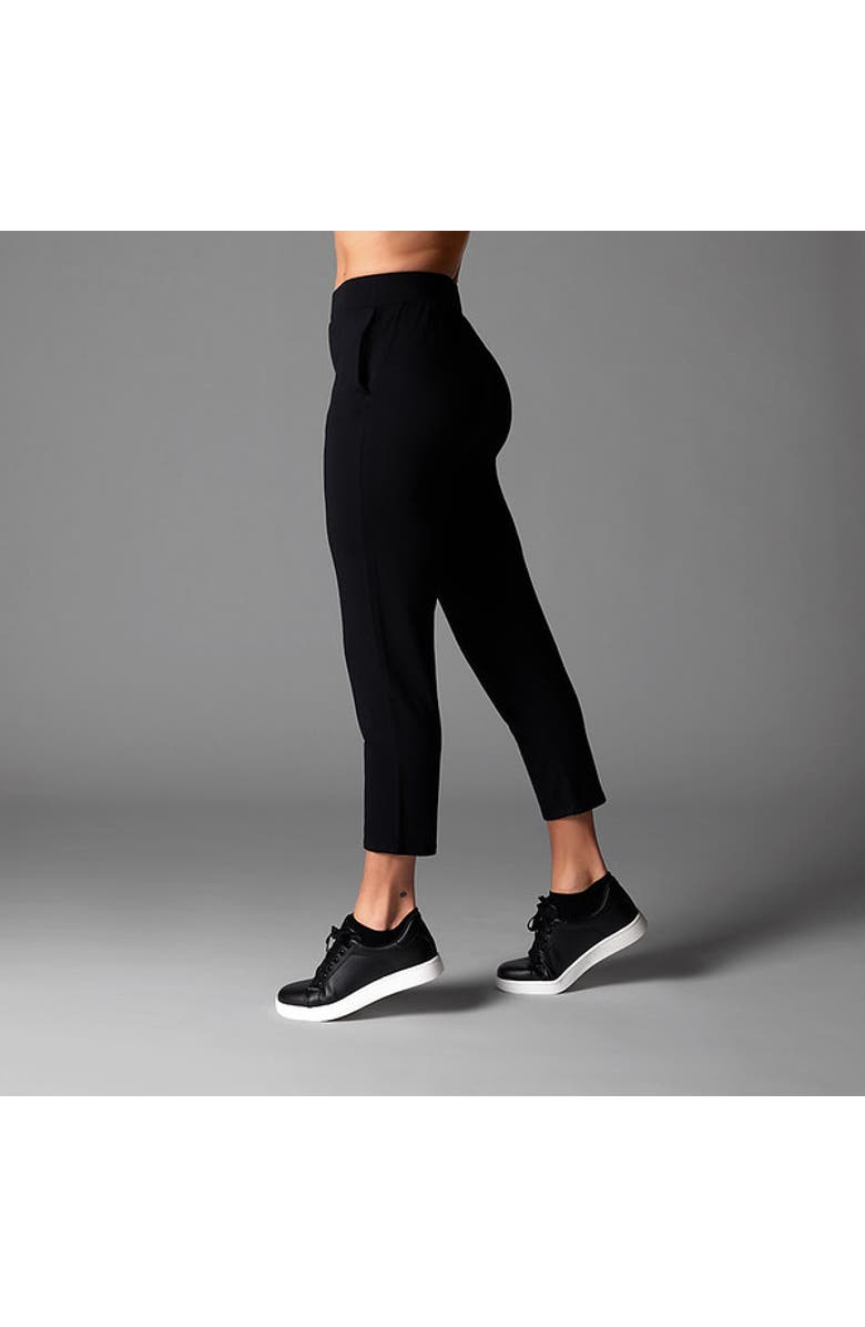 Tavi Cozy Ankle Pant, Alternate, color, Ebony
